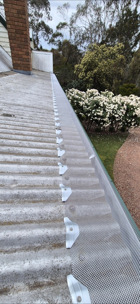 Mesh gutter leaf guard installed along the edge of a corrugated metal roof