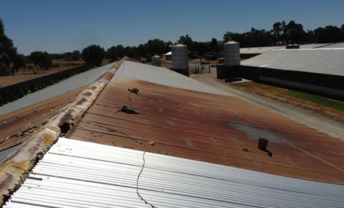 Agricultural building roof with old rusted panels and newly installed shiny corrugated sheets under clear sky.